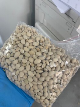 兴化市办理豆制品食品检测报告