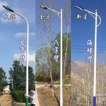 湖北武汉LED路灯户外照明厂家-异型路灯按图纸设计