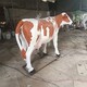 牛雕塑图