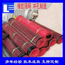 陽泉模壓橡膠篩網(wǎng)報價圖片