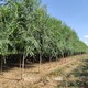 規格全圖