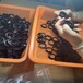 桐廬縣開模注塑加工,塑料外殼,塑料注塑機