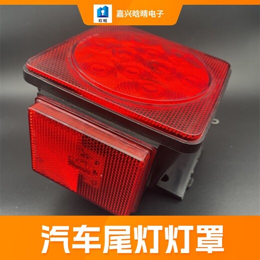 浙江温州led灯罩,塑胶产品定制,汽车灯罩
