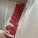 錢塘區開模注塑加工,塑料模具,塑料材料