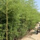 開封圖