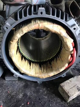 微山大型電機維修服務(wù),西門子電機維修