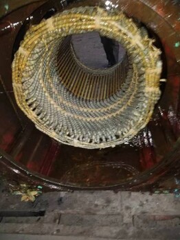 濱州大型高壓電機(jī)維修,高壓電機(jī)維修