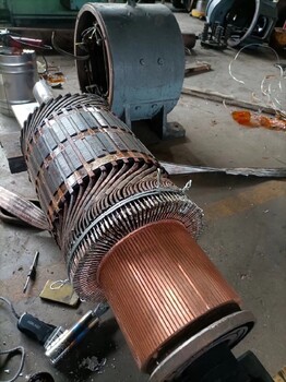 防爆滾筒電機維修,神農架直流電機維修服務