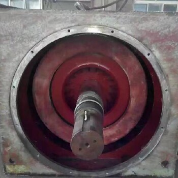 濱州大型高壓電機(jī)維修,高壓電機(jī)維修