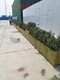 西城私家花园设计防腐木花箱碳化木花槽产品图