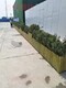 延慶屋頂花園設(shè)計防腐木花箱碳化木花箱圖