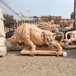曲阳县大型小区石雕牛雕塑安装