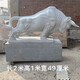 曲陽縣動(dòng)物石牛雕塑，開荒牛雕塑價(jià)格產(chǎn)品圖