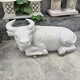 曲阳县公园石牛雕塑，开荒牛雕塑厂家,石雕动物大全产品图