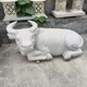 石牛雕塑圖