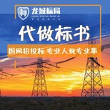 内蒙古投标文件编写百人专职团队龙城标局图片5