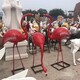 曲陽火烈鳥雕塑圖