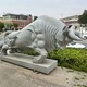 曲阳县动物石牛雕塑，开荒牛雕塑生产厂家产品图