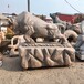 曲阳县供应大型石牛雕塑，开荒牛雕塑定制,石雕动物大全