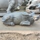 深圳石雕牛雕塑图
