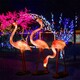 景區(qū)火烈鳥(niǎo)雕塑圖