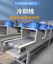 攀枝花網(wǎng)帶輸送機,廠家定制