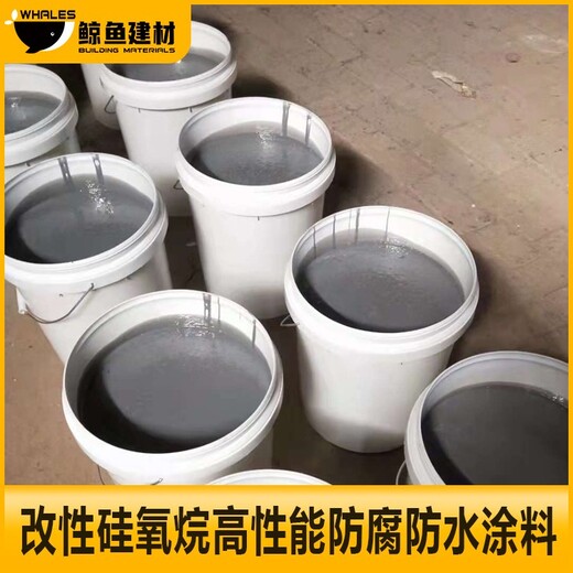  Huangnan modified siloxane anti-corrosion waterproof coating