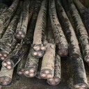 北京電纜回收價(jià)錢,順義廢品銅線回收價(jià)格