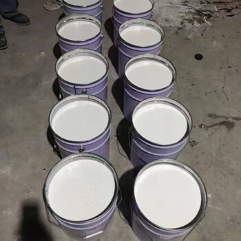 環(huán)氧白陶瓷管道防腐漆生產(chǎn)廠家活污水池防腐防水