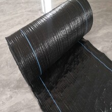 北京pp材质编织布生产厂家幅宽4—6米图片