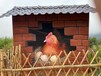 金華餐廳涂鴉墻繪多少錢一平方