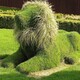 仿真植物綠雕圖