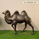 铸铜骆驼雕塑图