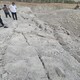 山西忻州礦山二氧化碳爆破使用成本產品圖