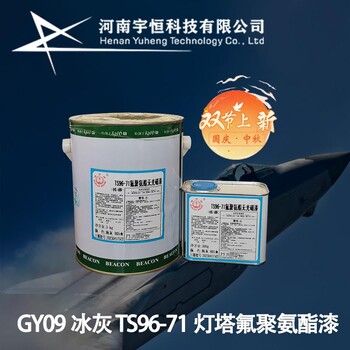 GY09冰灰TS96-71灯塔聚氨酯磁漆颜色可调授权代理原厂出货