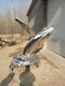 出售不锈钢鲸鱼雕塑施工方式,定制不锈钢鲸鱼雕塑报价产品图