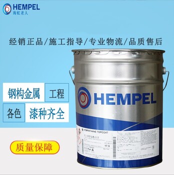 山东济宁HEMPEL海虹老人高温漆价格