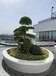 牡丹江彩色混凝土艺术地坪聚合物泰科砼泰克石坐凳景观新装饰