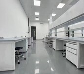 欽州實驗室通風柜-欽州全鋼通風柜-欽州實驗室家具定制力薦鴻嘉