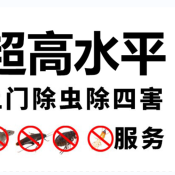 深圳上門滅鼠深圳滅鼠公司深圳除蟲滅鼠