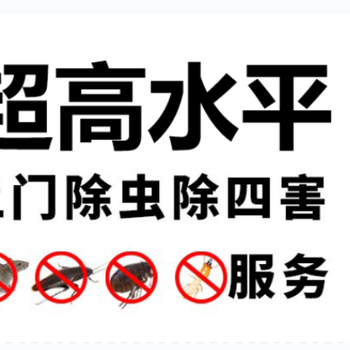 深圳捷控公司快速上门灭鼠深圳灭鼠公司深圳除虫灭鼠