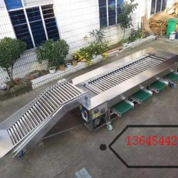 山東全自動(dòng)果蔬調(diào)速滾杠式選果機(jī)廠家