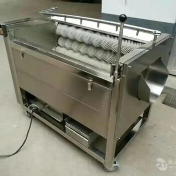 全自動(dòng)甜瓜土豆清洗機(jī)一機(jī)多用