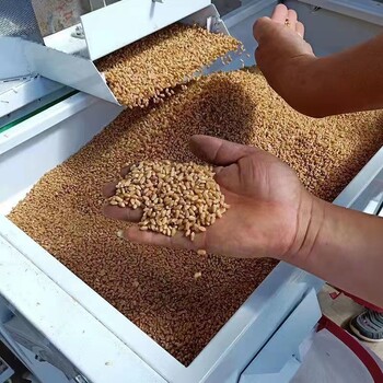小麥精選機玉米雜質(zhì)清理篩大豆精選機谷物清雜機花生蒜瓣