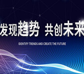 及中国托管网络服务市场供需状况与投资前景研究报告