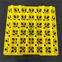 塑料托盤(pán)批發(fā)塑料蛋托廠(chǎng)種蛋蛋托價(jià)格