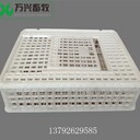 肉雞運輸籠大雞周轉(zhuǎn)筐運輸籠廠家