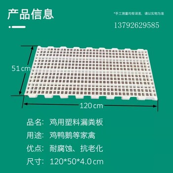 鸭用漏粪地板鸭子漏粪板鸡鸭鹅用漏粪板批发