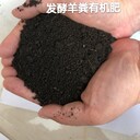 葡萄底肥純羊糞有機肥80斤發(fā)酵羊糞有機肥羊糞生物菌肥