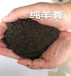發(fā)酵純羊糞肥湖南果樹底肥羊糞有機(jī)肥